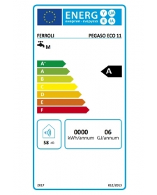 Dujinė vandens šildymo kolonėlė Ferroli PEGASO ECO 11 NG